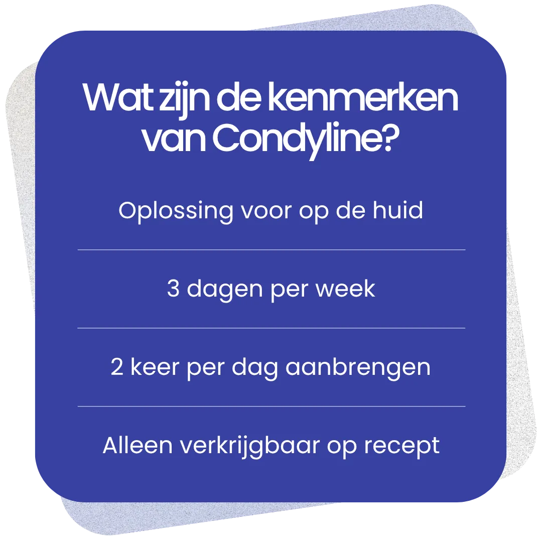 Kenmerken van Condyline